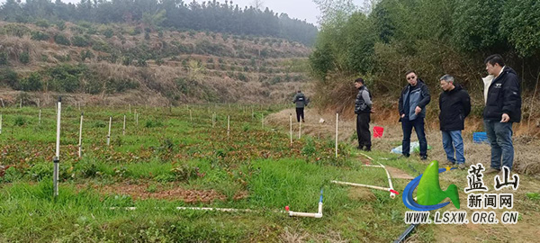 蓝山县林业局开展种苗执法专项检查行动.jpg