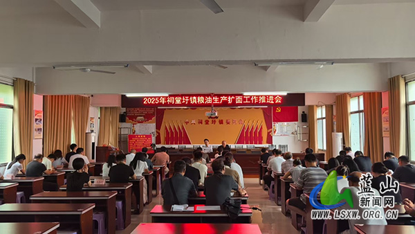 祠堂圩镇召开2025年粮油生产扩面工作推进会.jpg 祠堂圩镇召开2025年粮油生产扩面工作推进会.jpg