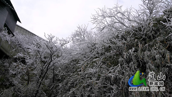 蓝山县云冰山：迎来今冬首场冰挂美景2.jpg