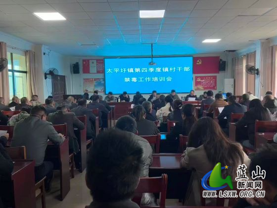10.28太平圩镇召开第四季度镇村干部禁毒工作培训会.jpg