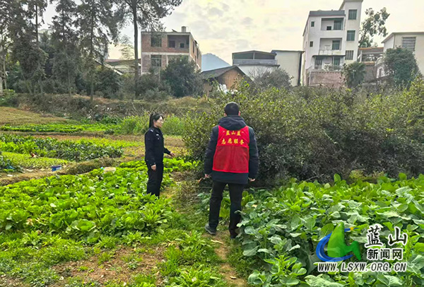 蓝山：乡镇联动推进禁种铲毒工作走深走实.jpg