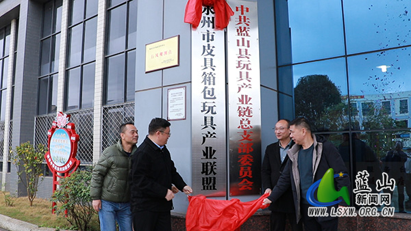 永州市皮具箱包玩具产业联盟正式揭牌成立.jpg