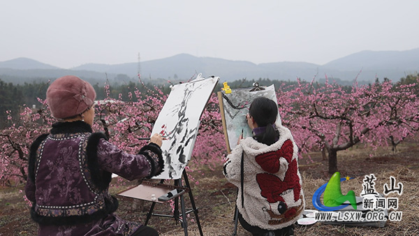 太平圩镇合家坊村：灼灼桃夭共赴春日浪漫之约2.jpg