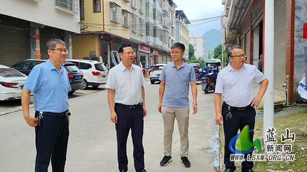 龙向洋调研登革热、基孔肯雅热防控工作.jpg 龙向洋调研登革热、基孔肯雅热防控工作.jpg