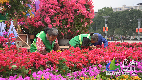 我县繁花似锦迎宾朋 匠心妆点博览会2.jpg 我县繁花似锦迎宾朋 匠心妆点博览会2.jpg