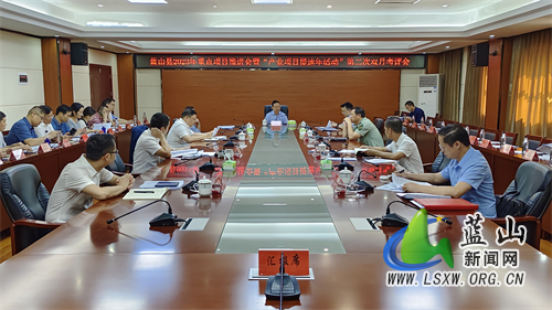 龙向洋：跑出项目“加速度” 建出项目“高质量”.jpg