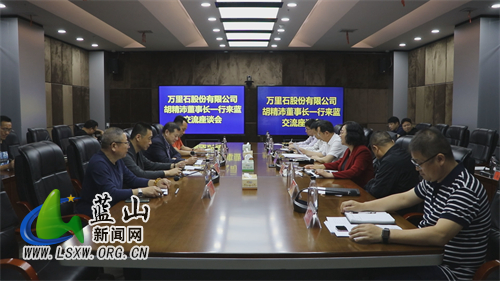 龙向洋：做好“点石成金”文章 奋力打造产业建设新标杆.jpg