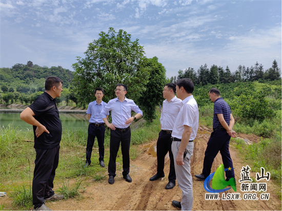 唐伟文调研"两抓两比"工作_政务动态_蓝山县人民政府