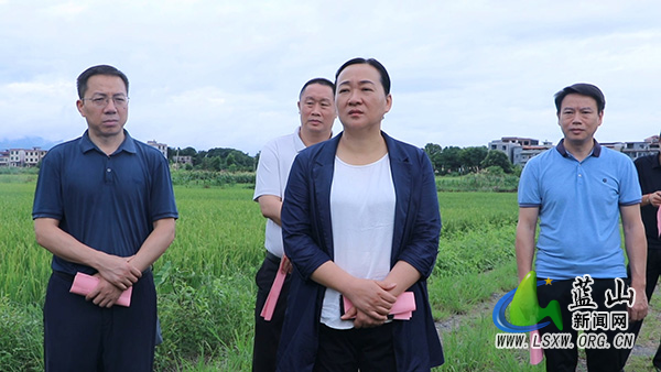 邓群调研农村集体“三资”管理暨高标准农田建设突出问题整治工作.jpg 邓群调研农村集体“三资”管理暨高标准农田建设突出问题整治工作.jpg