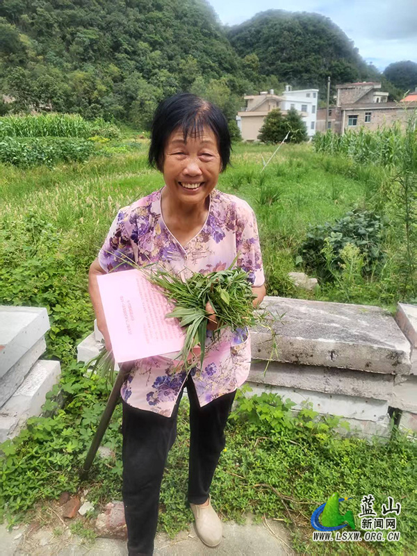 祠堂圩镇团结村入户宣传秸秆禁烧 筑牢生态防护线.jpg