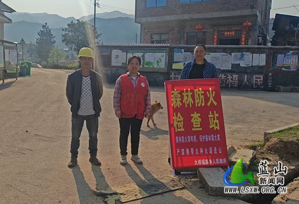 大桥瑶族乡：多措并举筑牢清明“防灭火墙”.jpg