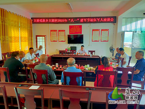 蓝山县大桥瑶族乡：走访慰问送关怀 座谈交流话初心.jpg