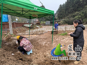 犁头瑶族乡:瑶乡春来早,育苗正当时.png 犁头瑶族乡:瑶乡春来早,育苗正当时.png