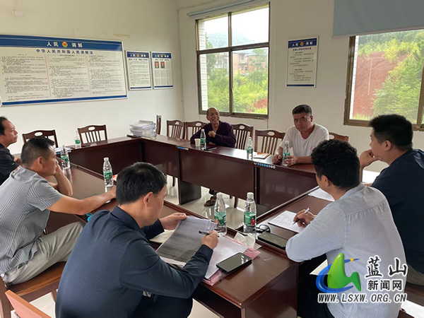 太平圩镇：听民声解民忧 人大代表积极调解矛盾纠纷.jpg