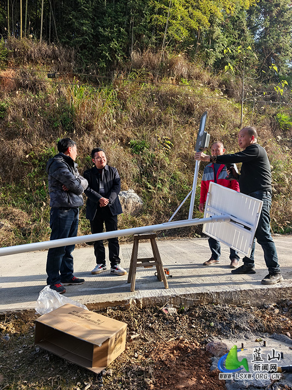 太平圩镇：监督护航民生灯 照亮村民出行路.jpg