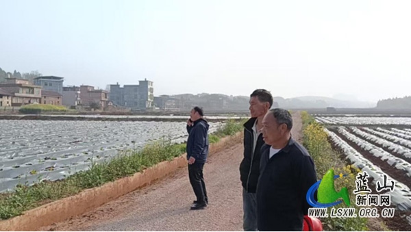 太平圩镇：走进田间察农情 精准服务促春耕.jpg