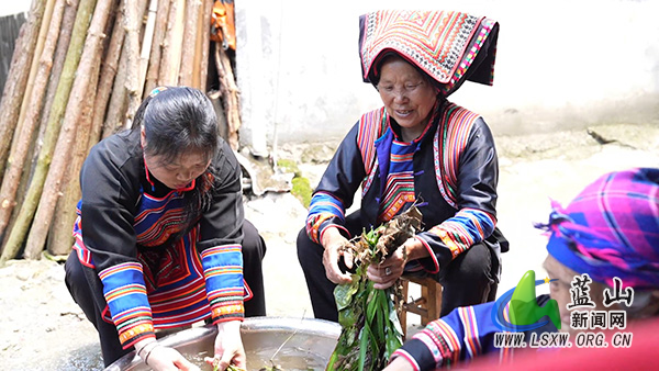 湘江源瑶族乡:药浴飘香迎端午 民俗传承暖人心.jpg 湘江源瑶族乡:药浴飘香迎端午 民俗传承暖人心.jpg
