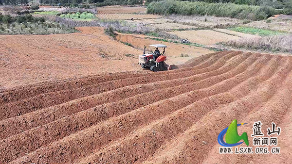 新圩镇：春耕“椒”响曲 沃野起垄忙2.jpg